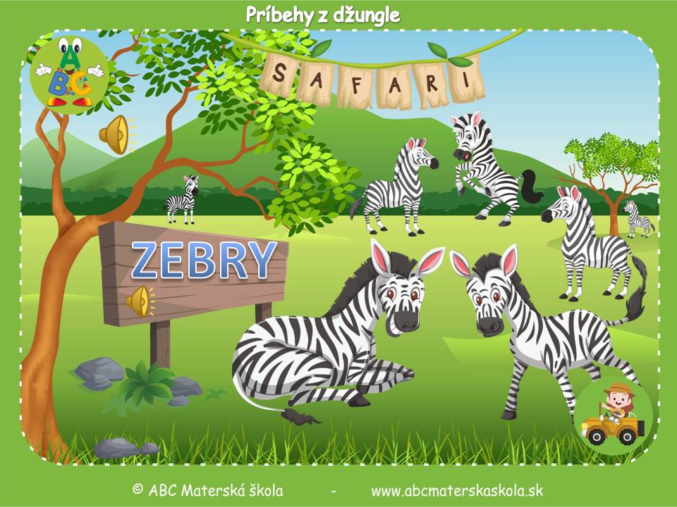 Príbehy z džungle - Zebry